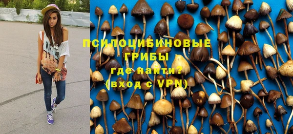 spice Горняк