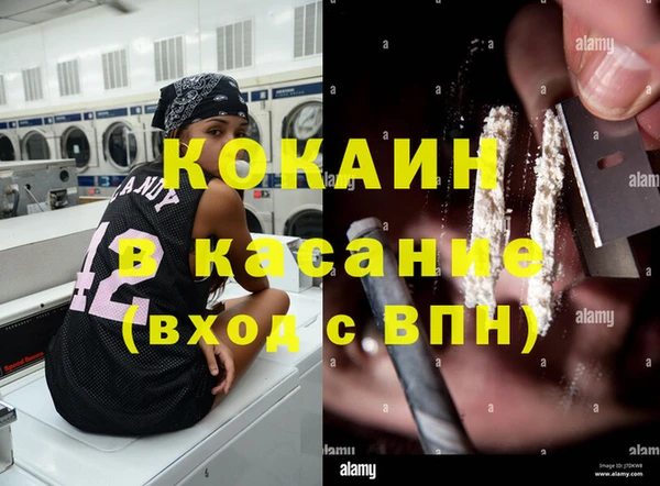 spice Горняк
