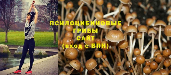 spice Горняк