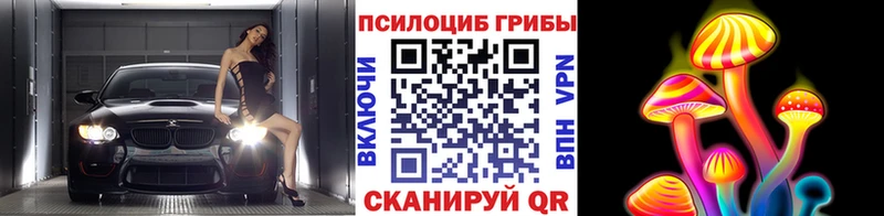 Галлюциногенные грибы GOLDEN TEACHER  продажа наркотиков  Мураши 